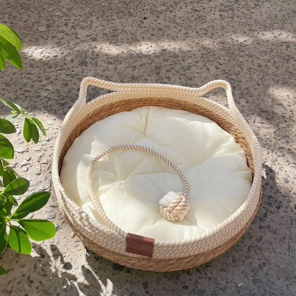 Alma, corbeille tressée pour chaton – coloris : blanc