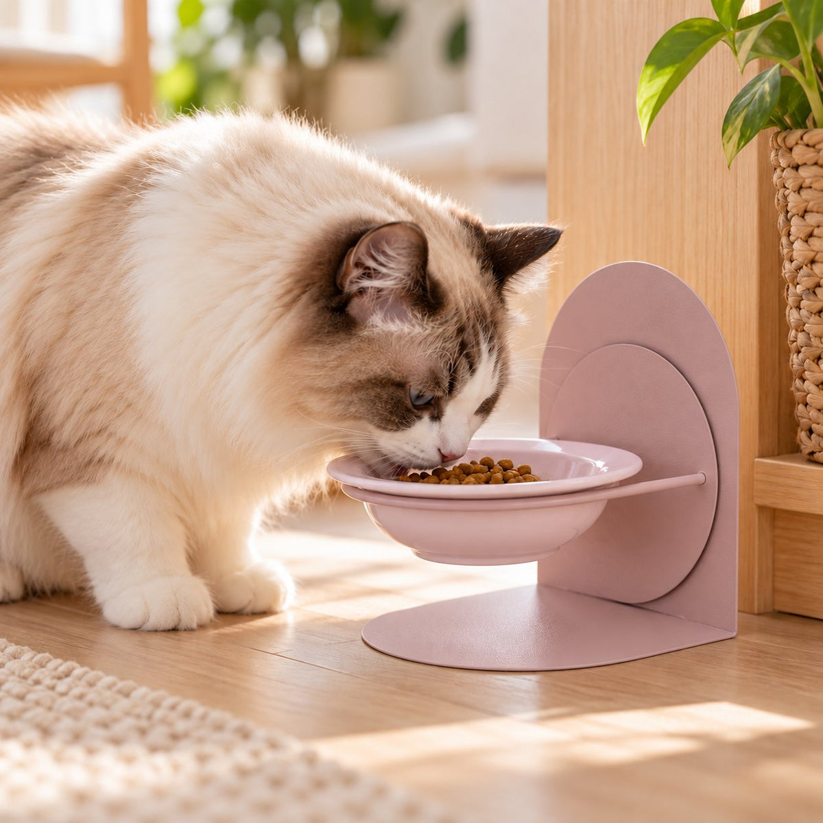 Arco, gamelle surélevée pour chat – coloris : violet