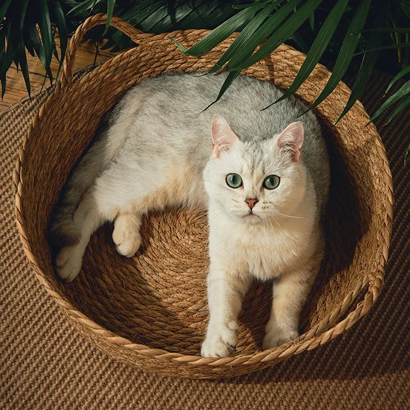 Solea, corbeille en bambou tressé pour chat – autre vue