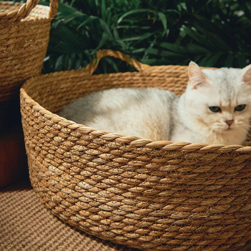 Solea, corbeille en bambou tressé pour chat – autre vue